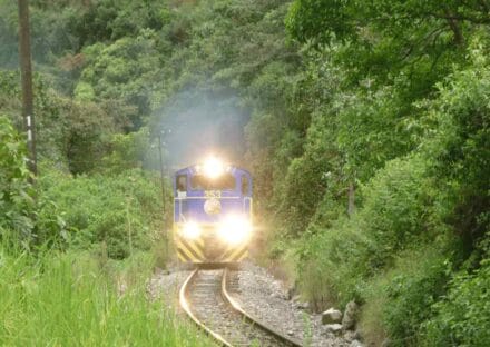 Galeria de miniaturas