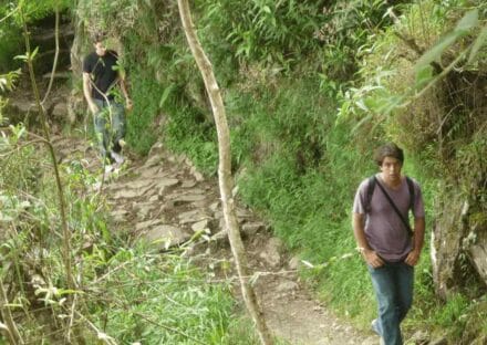 Galeria de miniaturas