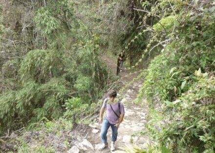 Galeria de miniaturas