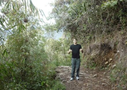 Galeria de miniaturas