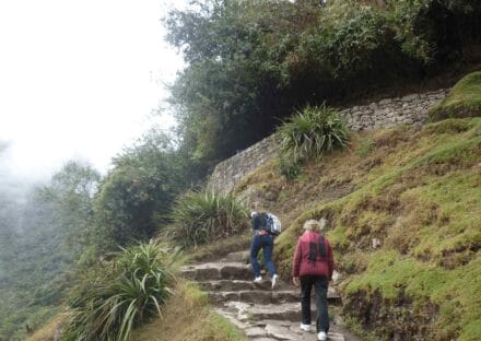 Galeria de miniaturas