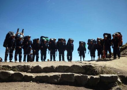 Galeria de miniaturas