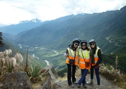 Galeria de miniaturas