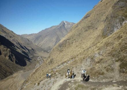 Galeria de miniaturas