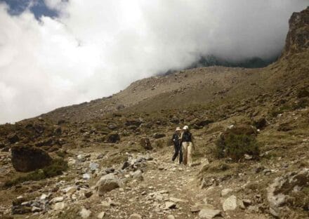 Galeria de miniaturas