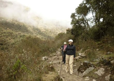 Galeria de miniaturas