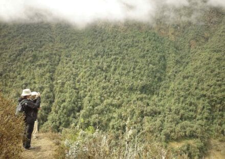 Galeria de miniaturas