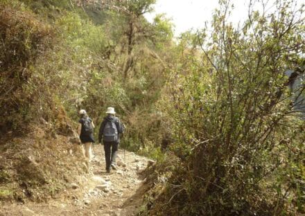 Galeria de miniaturas