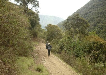 Galeria de miniaturas