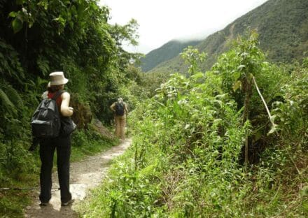 Galeria de miniaturas