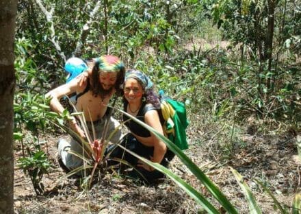 Galeria de miniaturas