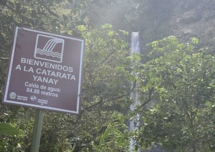 Galeria de miniaturas