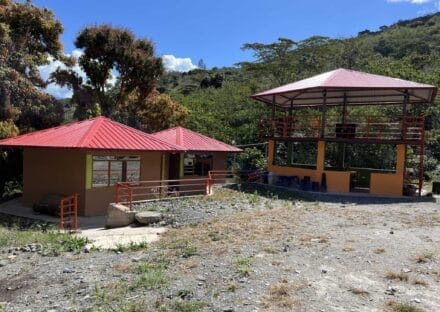 Galeria de miniaturas