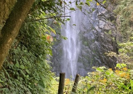 Galeria de miniaturas